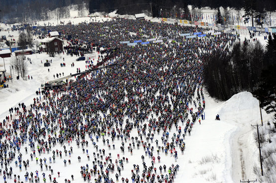 Wasalauf Start 2010