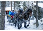 Augenblicke: Familie Köppe am 6. Dezember 2010 image