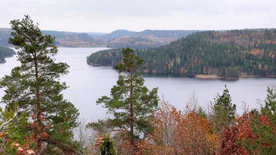Herbst in Sommenbygd