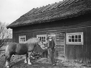 Altes schwedisches Farmhaus