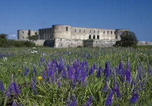 Schloss Borgholm