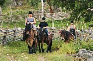 Auf dem Rücken der Pferde