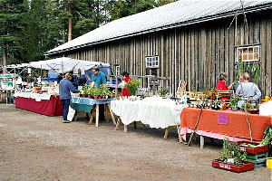 Herbstmarkt in Brunskog