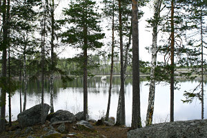 Am See
