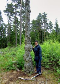 Småland Urlaub