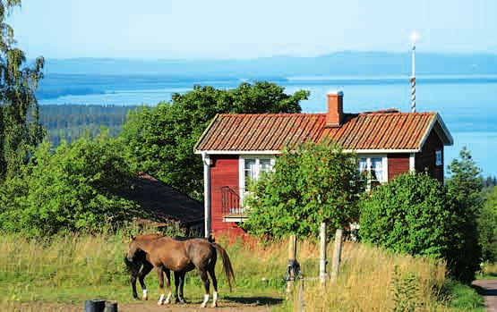 Ferienhaus in Småland