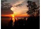 Von Dresden über Flensburg nach Lappland - Künstlerin Uta Fransson image